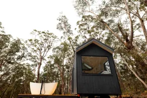 Tiny Phoebe - Image 4