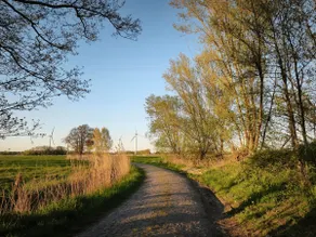 Centrally located ground-floor apartment near the North Sea for work and vacation - Image 5