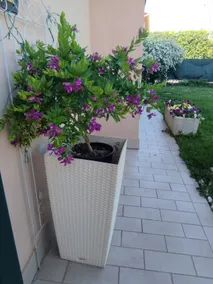Casa di Ele semi-independent rental - Image 4