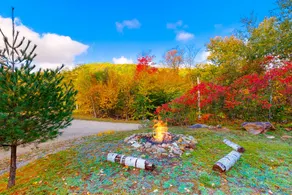 2BR Mountainview Dog Friendly | Fireplace - Image 3