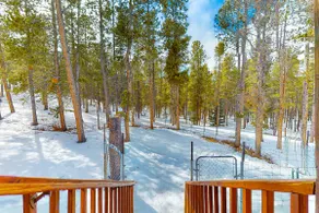 Dog-friendly home with large deck, hot tub, woodstove, W/D, & serene setting - Image 4