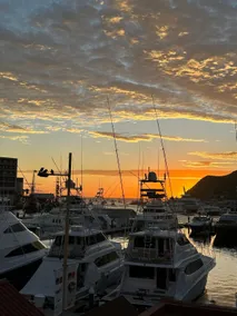 Tesoro Luxury Marina View | 2 King Beds • Sleeps 6 - Image 5