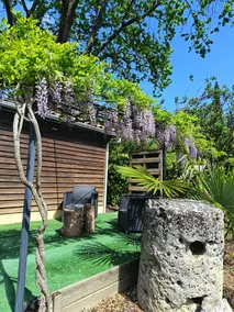Welcome to “Casa Da Alegria” - Image 2