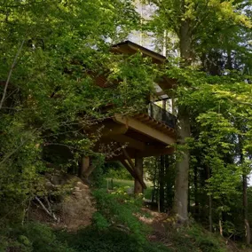 Treehouse chalet - Image 2