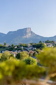 The Winegrower's Getaway – Air-Conditioned – Private Parking - Image 4