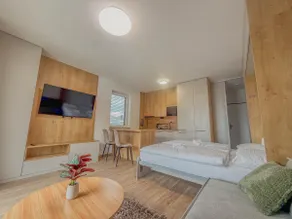 Cozy studio with free parking near the lake - Image 3