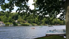 Paradise in Port Bay - Image 2