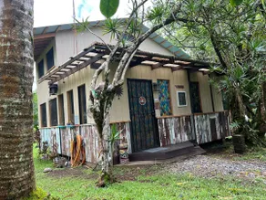 Rare Rainforest Hideaway-A REAL Jungle experience! - Image 4