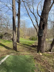 1885 Farmhouse on 11 Acres w/ Pool & Disc Golf - Image 4