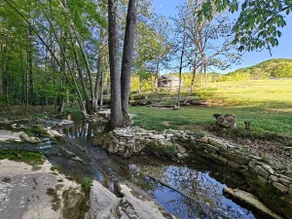 Creek Cabin - Image 2