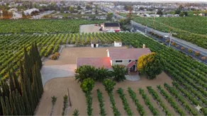 Vintage Vineyard Estate - Image 2