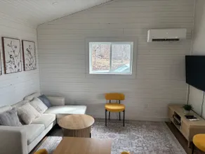 Modern cabin with guest house - Image 4