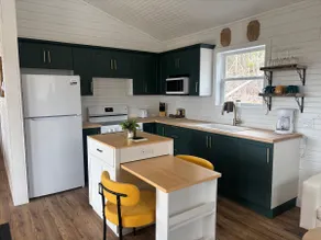 Modern cabin with guest house - Image 3