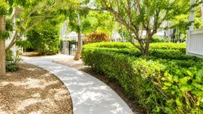 Coral hængekøje ved poolen Hjem: 3 BR, 3 BA House i Key West, 6 sovepladser - Image 3
