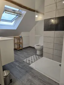 Characterful apartment Valençay Porte de Beauval - Image 3