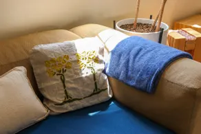 Cozy Pasadena Hideaway - Image 4