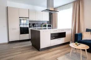 LINZ BASE SUITE Business and Family, 2Bedrooms and Workspace - Image 3