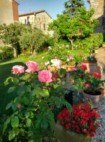 Tuscan Charm – Veranda overlooking the greenery and nearby spas - Image 5