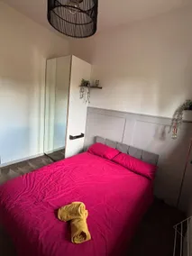 Bright, Spacious, Newly Renovated Apartment - Image 3