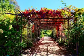 Botanical Garden Retreat | White House Bendigo - Image 4