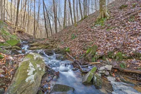 Creekside Retreat | Hot Tub Bliss & Firepit Nights - Image 4