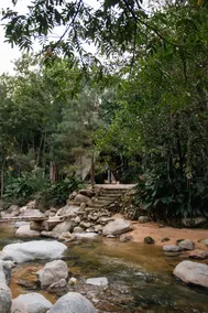 Vale dos Pinheiros Chalet - Image 3
