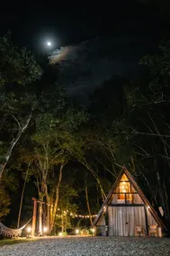 Vale dos Pinheiros Chalet - Image 4