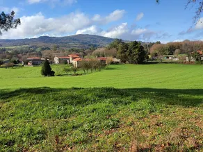 House w/ Garden 1800m² | Free Dogs | EV Charge - Image 3