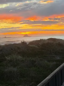 Driftwood Dreams with sunset walks on the beach. - Image 5