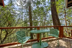 Serene Camano Cabin w Deck Fire Pit & Views! - Image 5