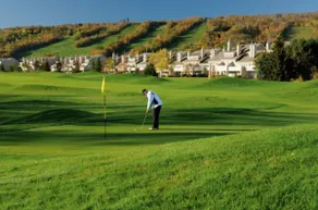 3BDR Golf Course Home | Private Sauna & Mtn Views - Image 5