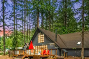 Rustic Cabin Near Mt Rainier: Fire Pit & BBQ! - Image 2