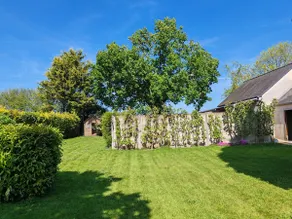 L'Ambre Gîte - Image 2