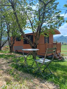 The Haymaking Trailer - Image 5