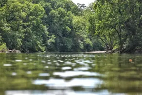 Caddo Bend Lodge - Image 5