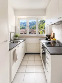 3Br Panorama Mountain View Interlaken - Image 5