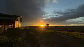 Rustic Horse Farm Guest Quarters Retreat - Image 3