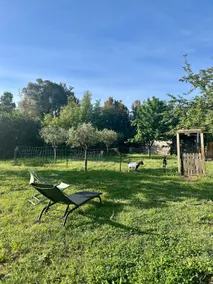 Peaceful oasis in the heart of the village - Image 2