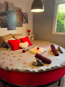 Jacuzzi, round bed, garden, private parking, metro - Image 2