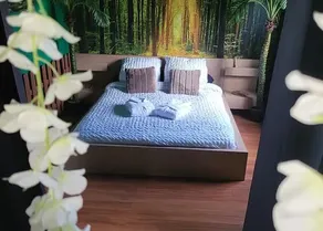 Coqueo Suite with Spa & Sauna, Paris–Disneyland - Image 3