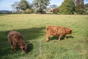 Wingana Homestead - Scenic Views, Bundanoon - Image 5
