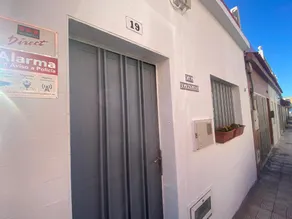 Great Dane House - Image 4