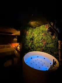 Jungle Escape – Sauna, Hot Tub & Starlit Night - Image 2