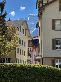 Alpine Nest Tiltlis, Garden, Central, Lucerne - Image 5