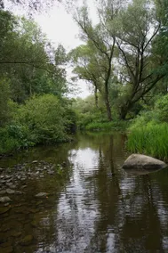 River Guest House and Retreat at Pierpont - Image 5