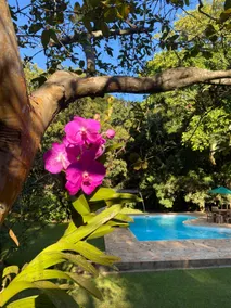 Canto do Monjolo Guesthouse, Suite with 2 Single Beds. - Image 5