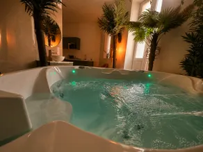 Jungle room, Jacuzzi privatif et cinéma - Image 2