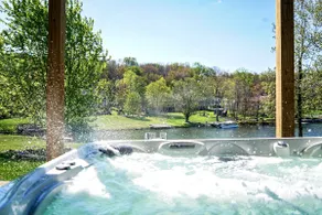 The Lake Show - Image 2