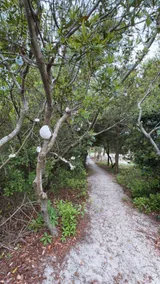 OBX Cottage Retreat | 4 min walk to beach - Image 3