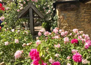 Well Cottage, Rare & Amazing, 17c Jacobean Cottage - Image 2